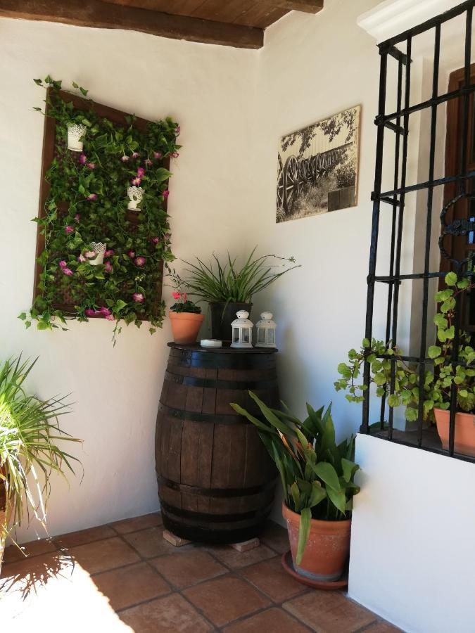 Casa Rural La Maquinilla Grazalema Exteriér fotografie