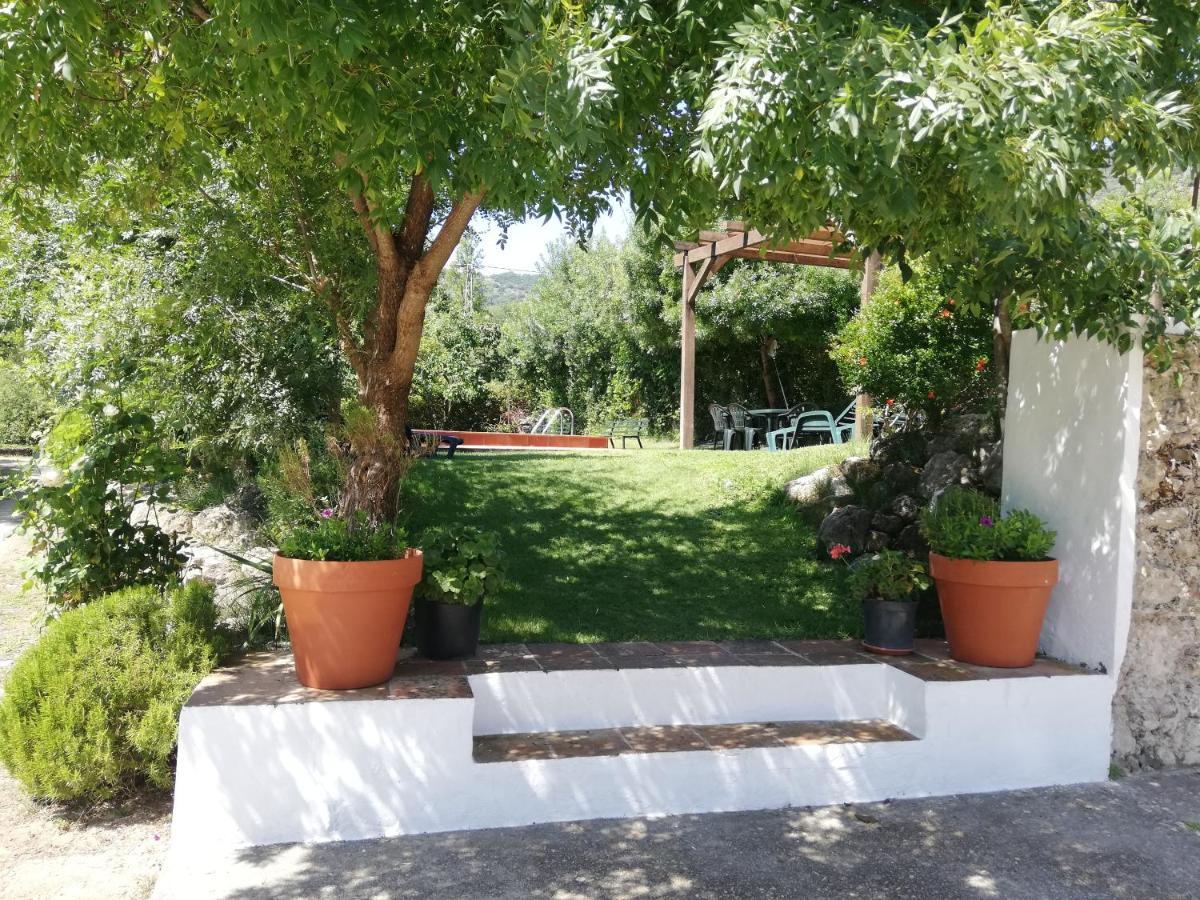 Casa Rural La Maquinilla Grazalema Exteriér fotografie