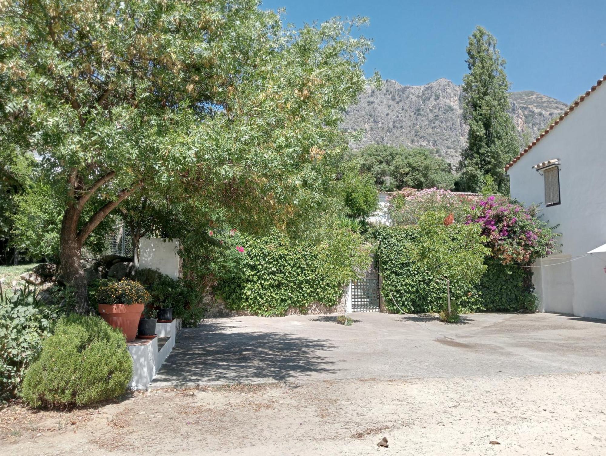 Casa Rural La Maquinilla Grazalema Exteriér fotografie