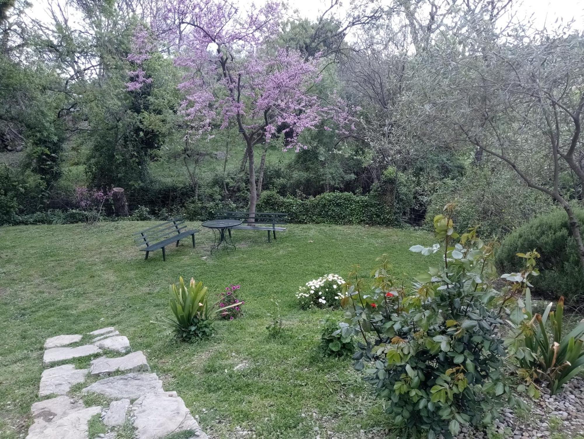 Casa Rural La Maquinilla Grazalema Exteriér fotografie