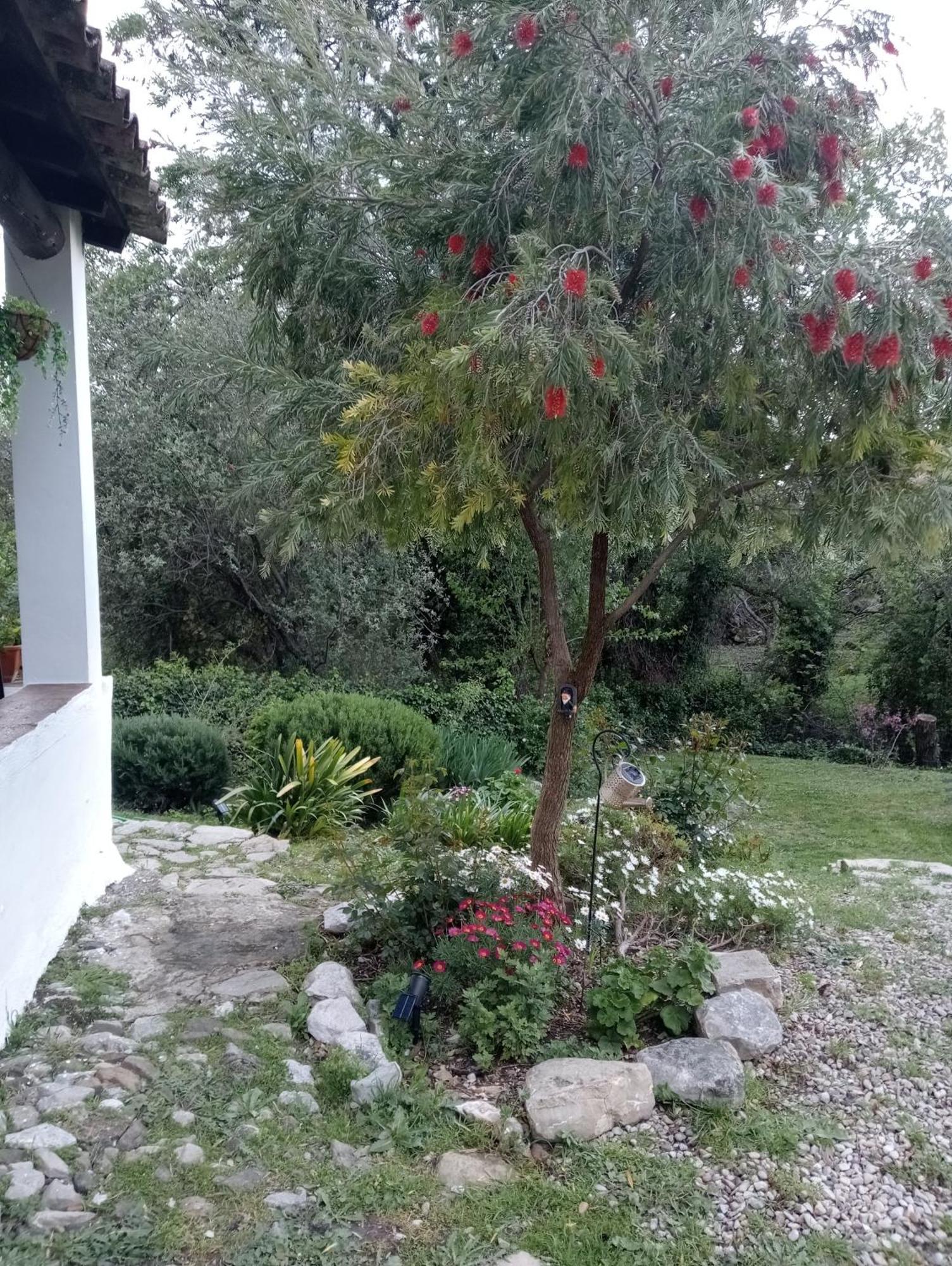 Casa Rural La Maquinilla Grazalema Exteriér fotografie