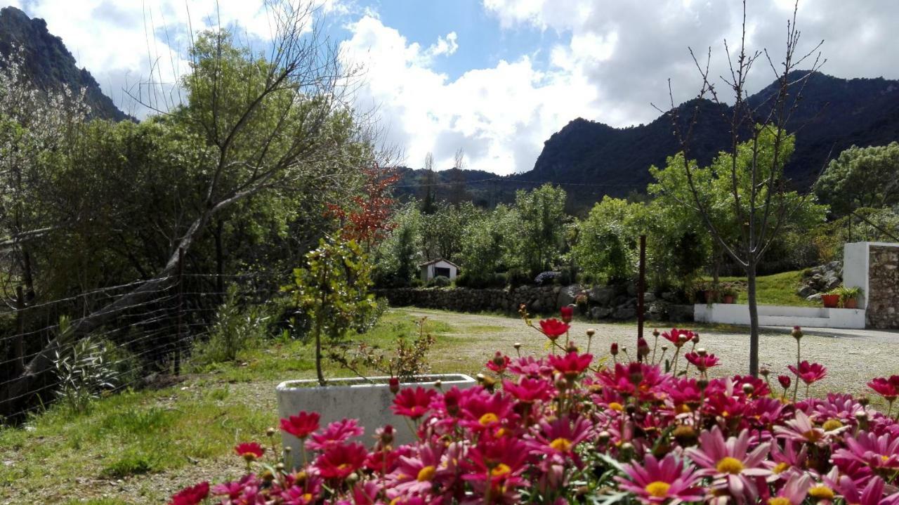 Casa Rural La Maquinilla Grazalema Exteriér fotografie