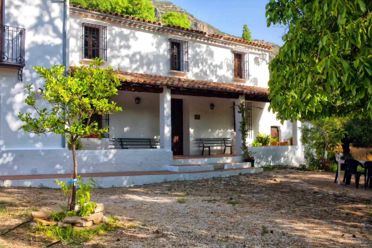 Casa Rural La Maquinilla Grazalema Exteriér fotografie