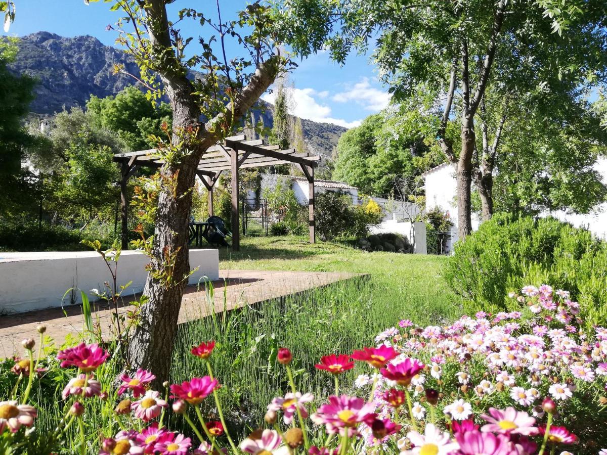 Casa Rural La Maquinilla Grazalema Exteriér fotografie